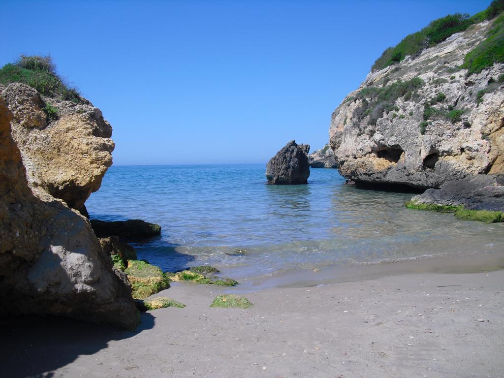 Cal Ganso Encantat Albinyana Εξωτερικό φωτογραφία