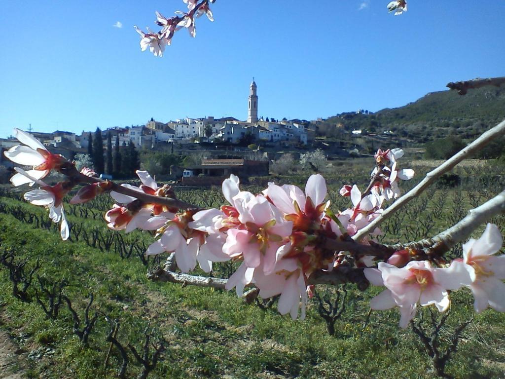 Cal Ganso Encantat Albinyana Εξωτερικό φωτογραφία